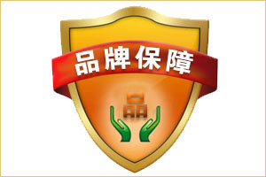 youshi1